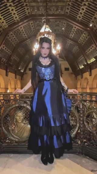 Victorian Holiday Fancy Party High Quality Brocade Dress 18th Century Queen  Charlotte Theater Clothing - Victorian Choice